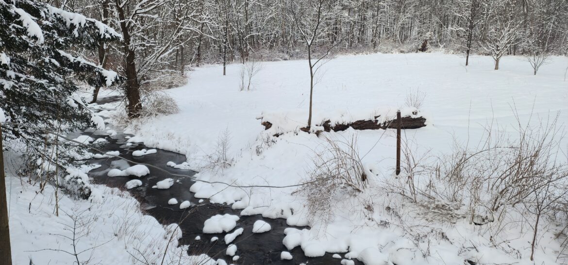 Should I Stay or Should I Go?